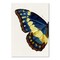 Blue Gold Butterfly I by Chaos &#x26; Wonder Design  Poster Art Print - Americanflat